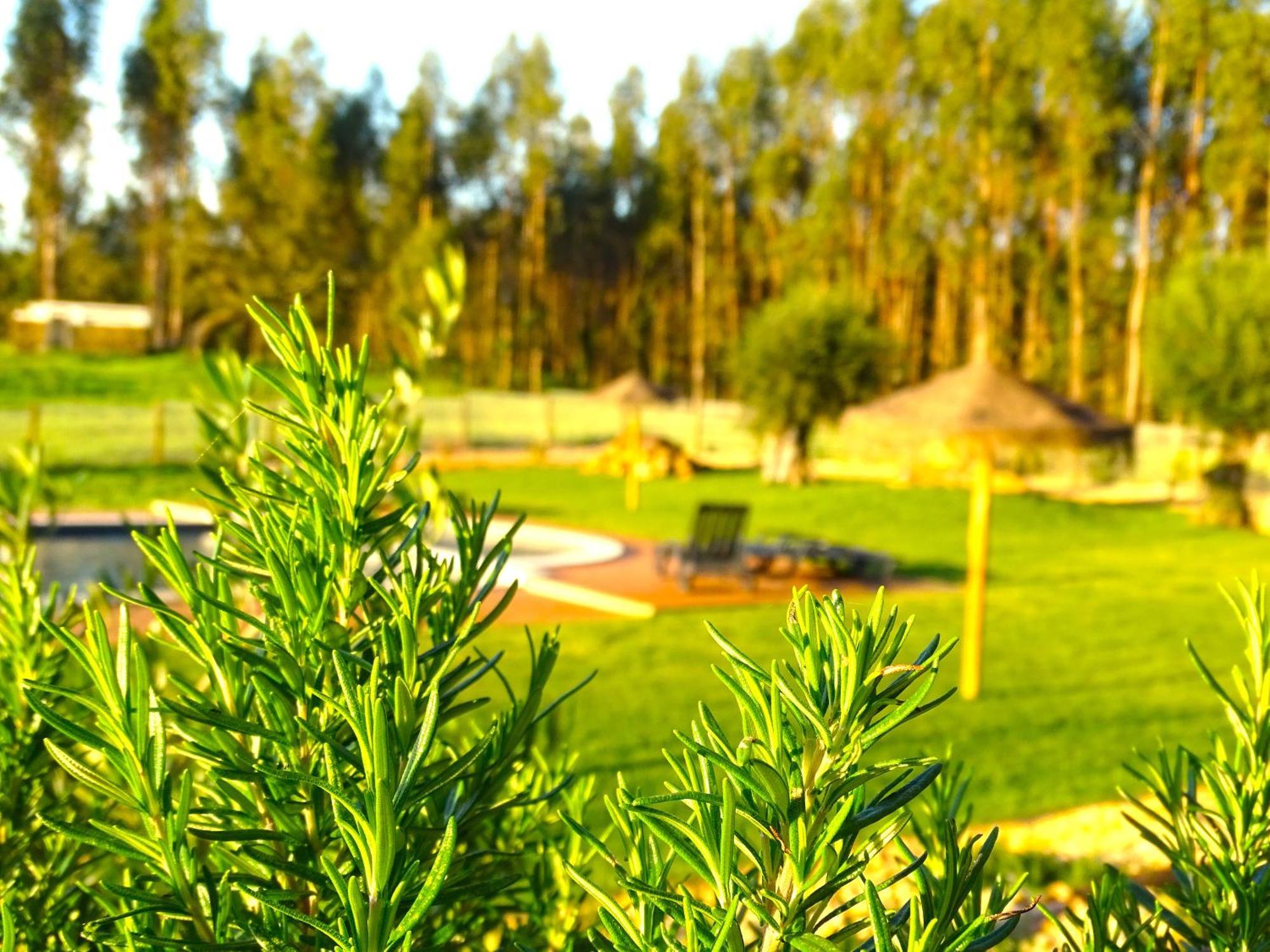 Herdade Vale De Gaios By Stay In Alentejo São Luís Exterior foto