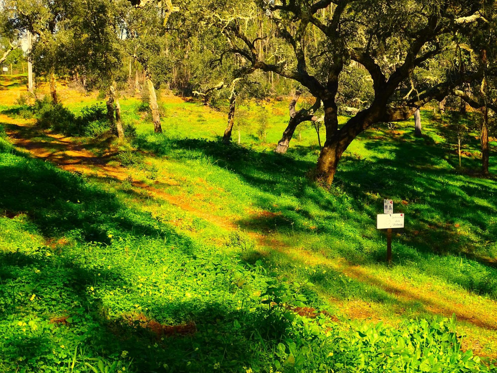 Herdade Vale De Gaios By Stay In Alentejo São Luís Exterior foto